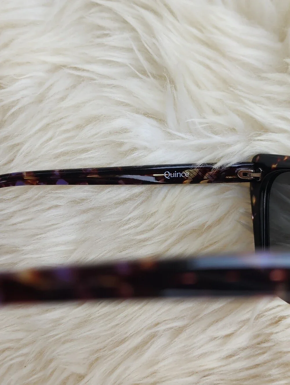 Quince sunglasses stylish
